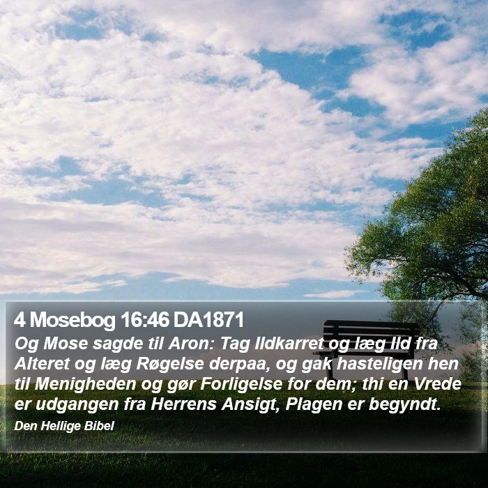 4 Mosebog 16:46 DA1871 Bible Study