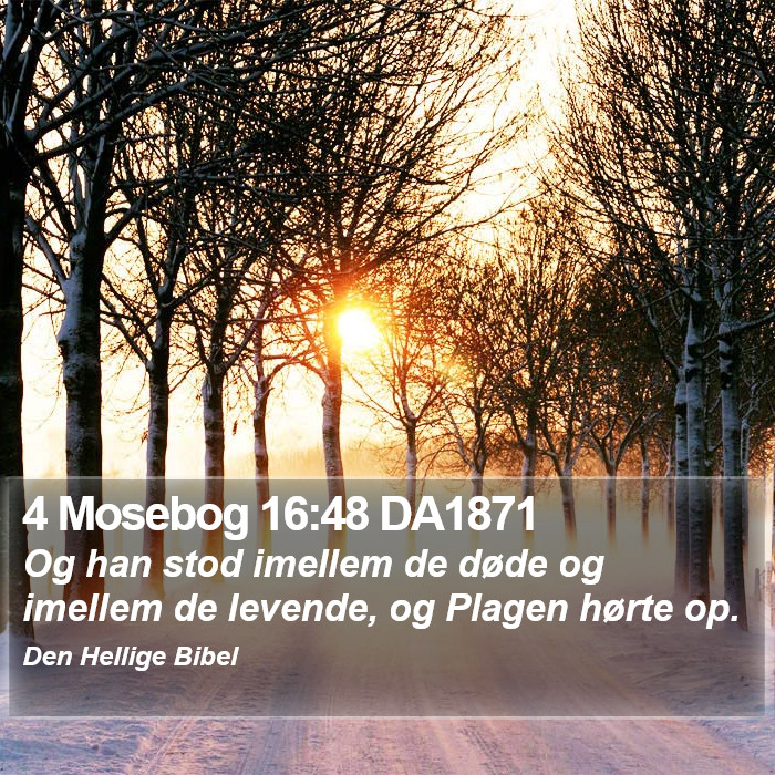 4 Mosebog 16:48 DA1871 Bible Study