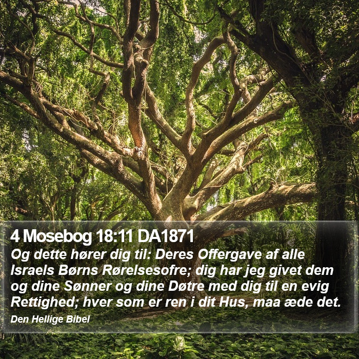 4 Mosebog 18:11 DA1871 Bible Study