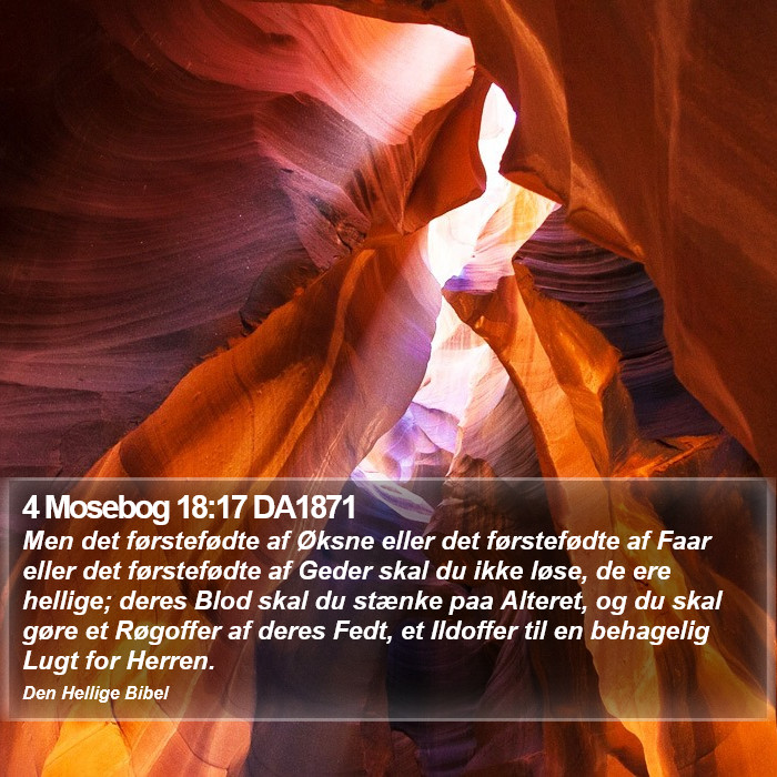 4 Mosebog 18:17 DA1871 Bible Study