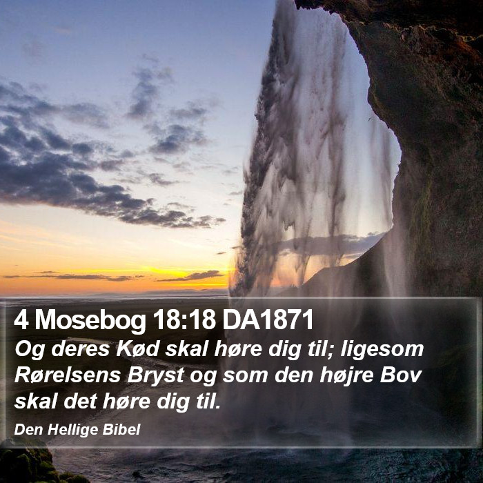 4 Mosebog 18:18 DA1871 Bible Study