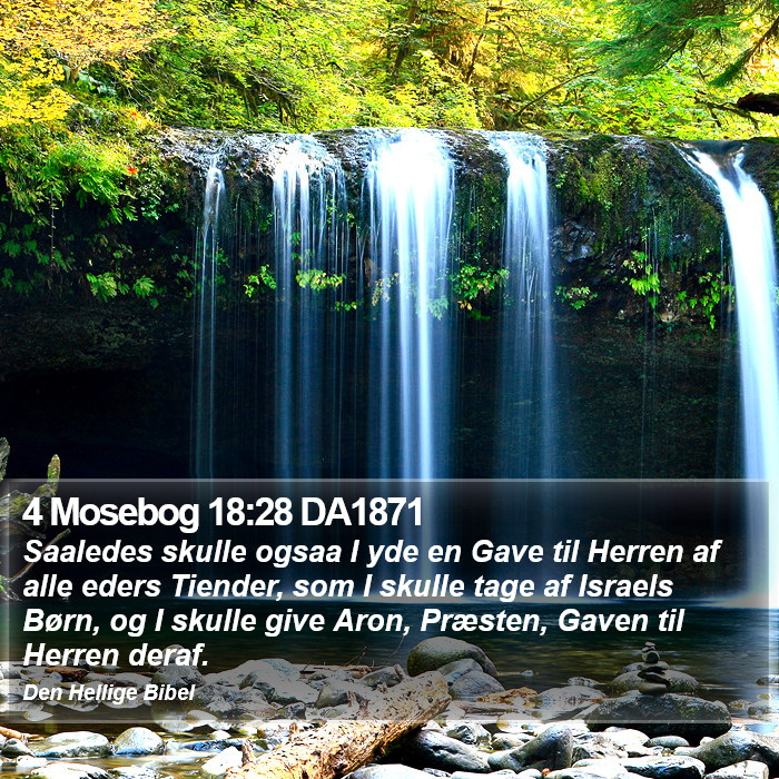 4 Mosebog 18:28 DA1871 Bible Study