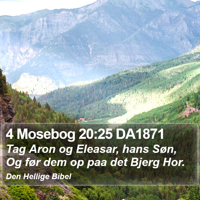 4 Mosebog 20:25 DA1871 Bible Study