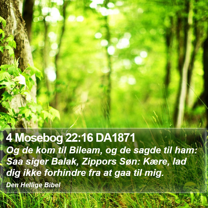 4 Mosebog 22:16 DA1871 Bible Study