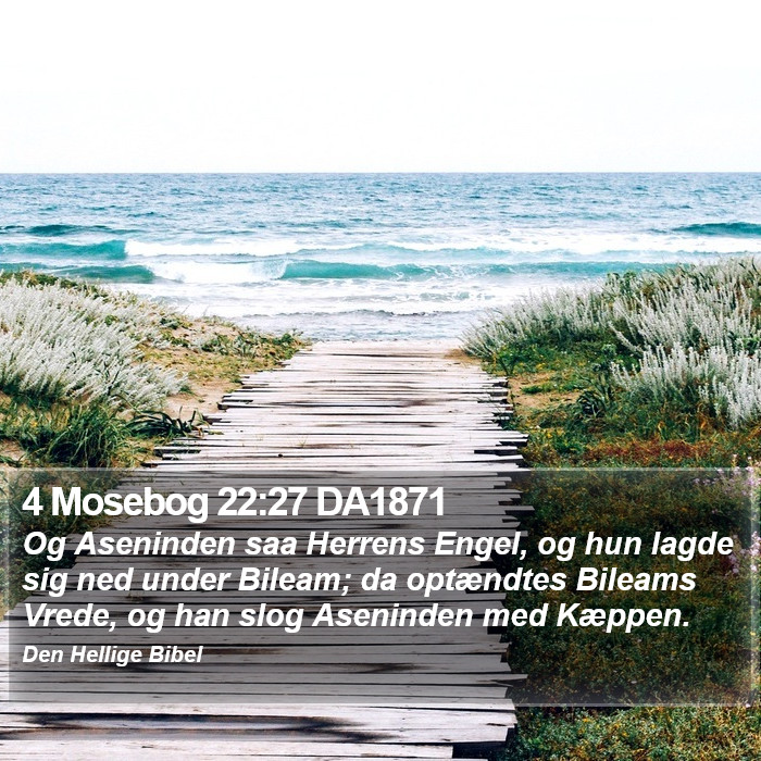 4 Mosebog 22:27 DA1871 Bible Study