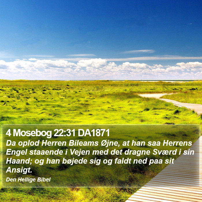 4 Mosebog 22:31 DA1871 Bible Study