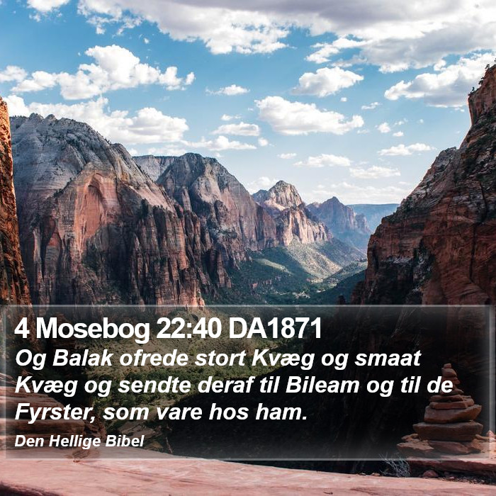 4 Mosebog 22:40 DA1871 Bible Study