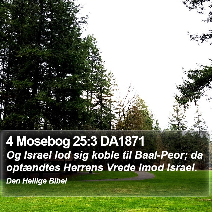 4 Mosebog 25:3 DA1871 Bible Study