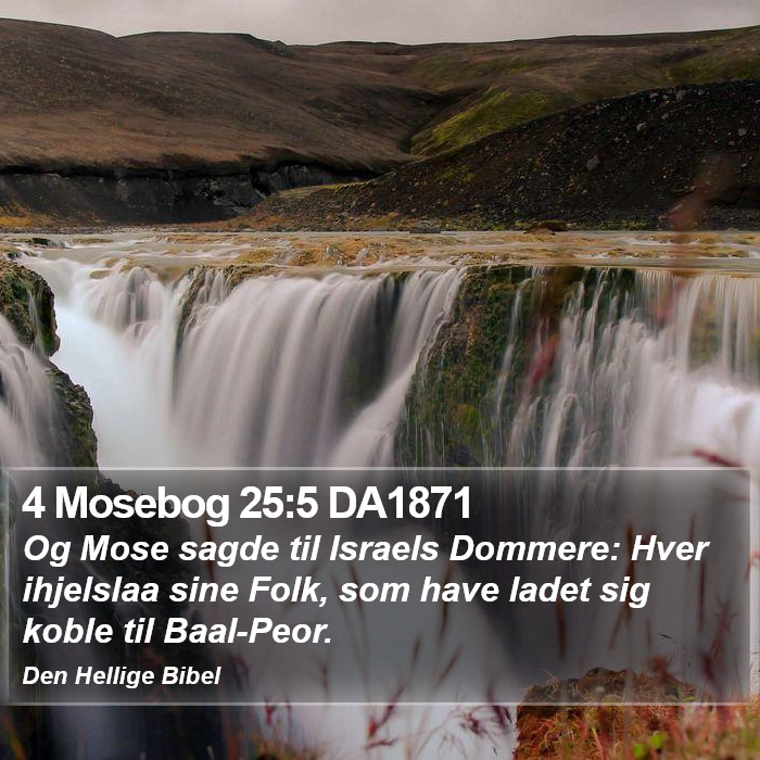 4 Mosebog 25:5 DA1871 Bible Study