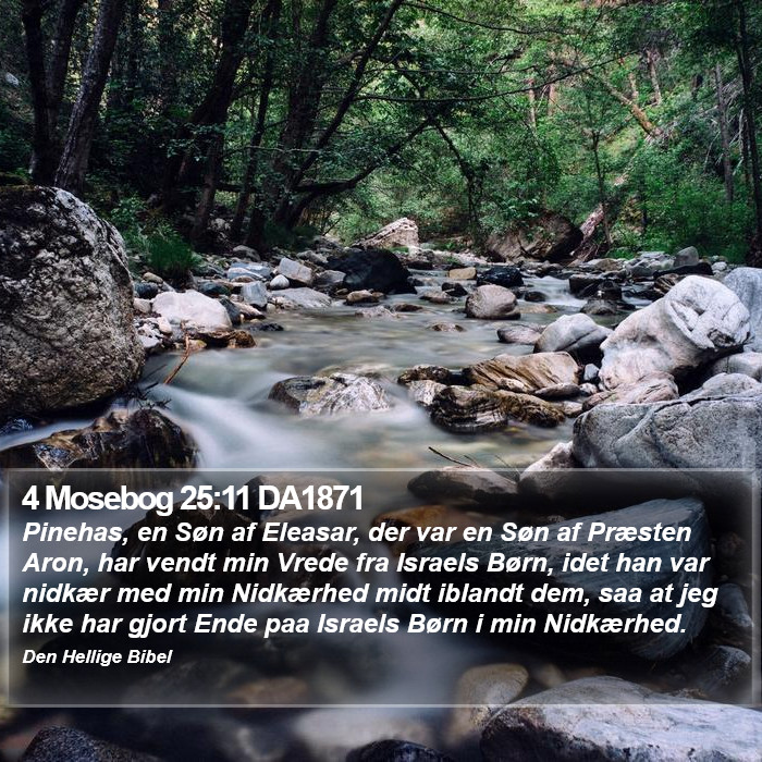 4 Mosebog 25:11 DA1871 Bible Study