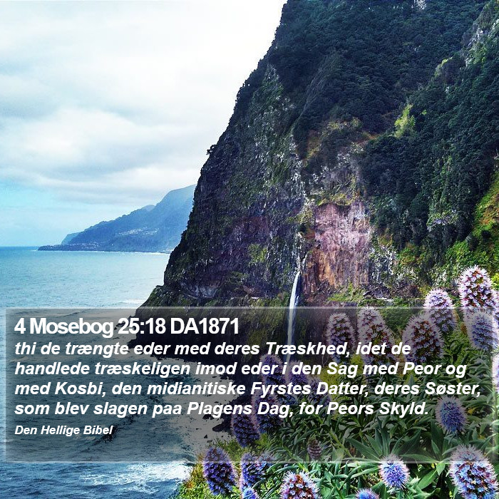 4 Mosebog 25:18 DA1871 Bible Study