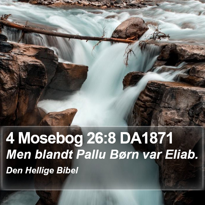 4 Mosebog 26:8 DA1871 Bible Study