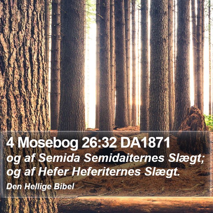 4 Mosebog 26:32 DA1871 Bible Study