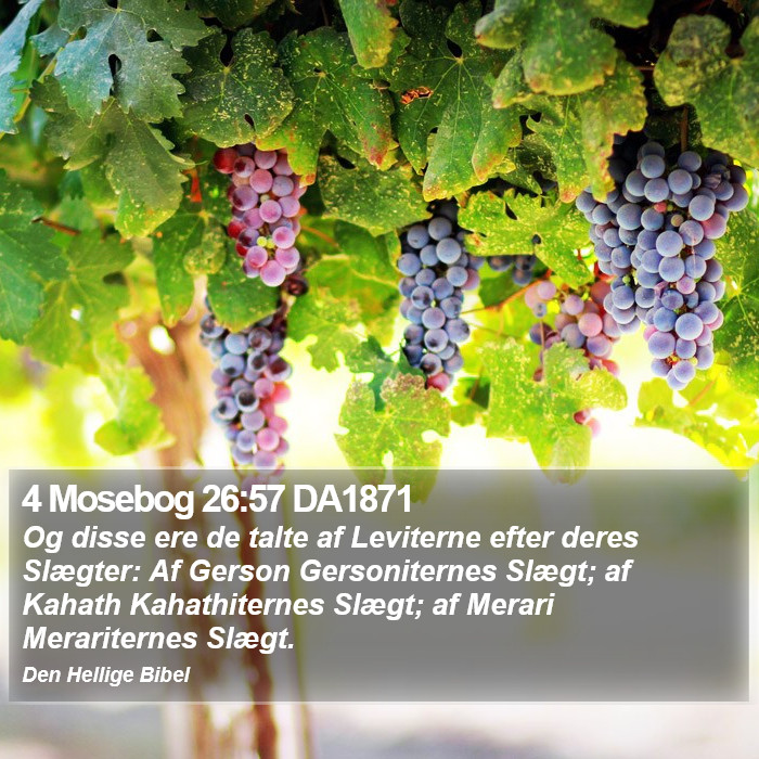 4 Mosebog 26:57 DA1871 Bible Study