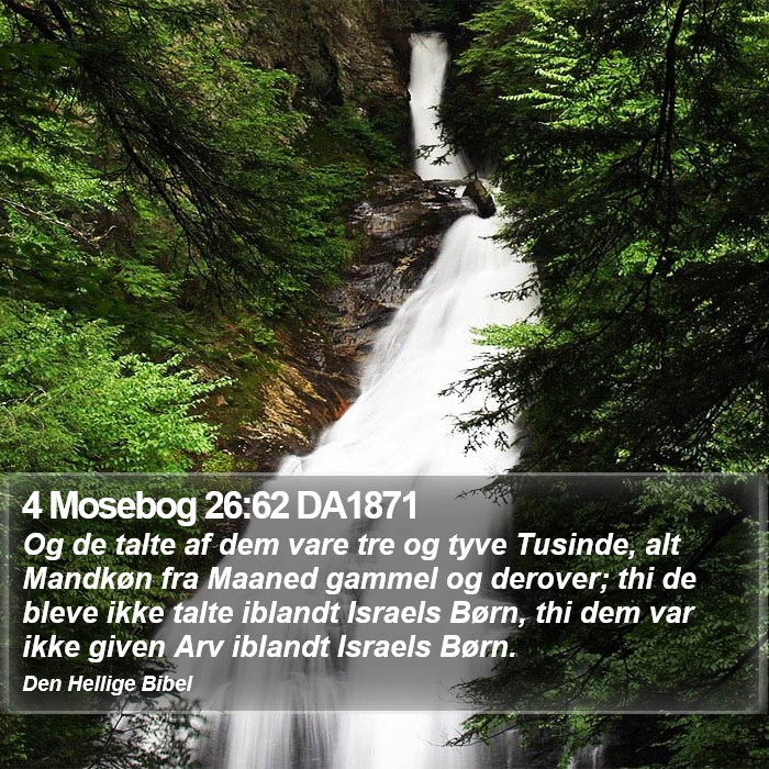 4 Mosebog 26:62 DA1871 Bible Study
