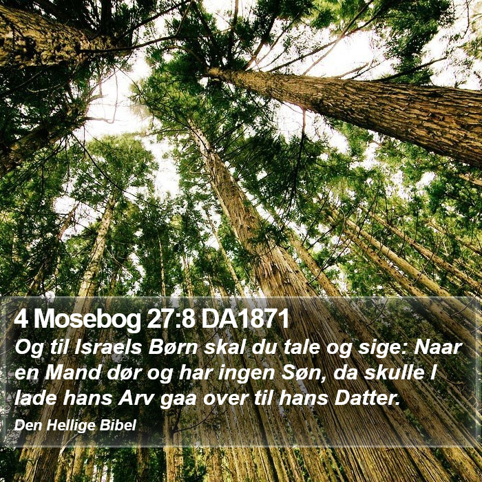 4 Mosebog 27:8 DA1871 Bible Study