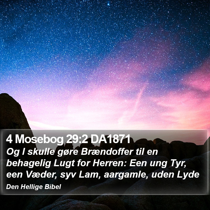 4 Mosebog 29:2 DA1871 Bible Study