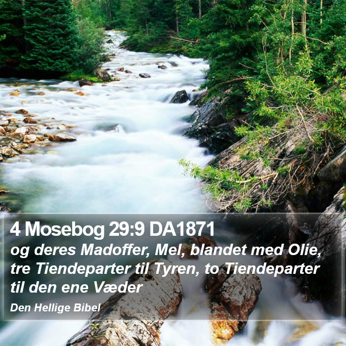 4 Mosebog 29:9 DA1871 Bible Study