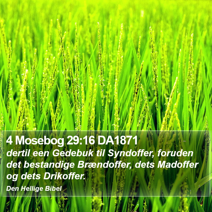 4 Mosebog 29:16 DA1871 Bible Study