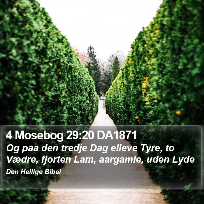 4 Mosebog 29:20 DA1871 Bible Study