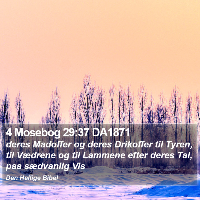 4 Mosebog 29:37 DA1871 Bible Study