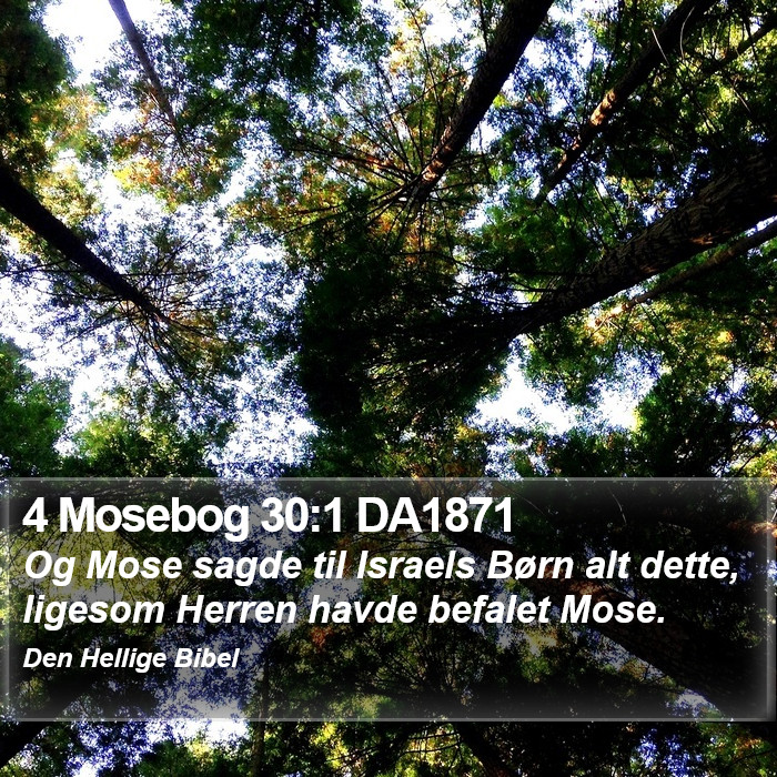 4 Mosebog 30:1 DA1871 Bible Study