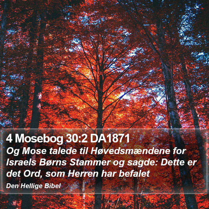 4 Mosebog 30:2 DA1871 Bible Study