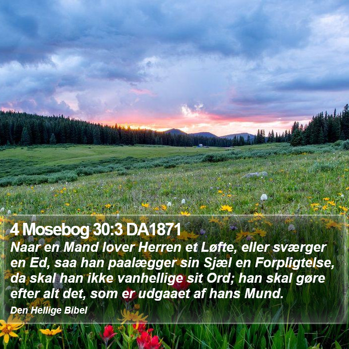 4 Mosebog 30:3 DA1871 Bible Study