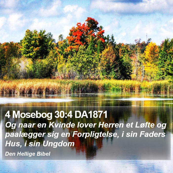 4 Mosebog 30:4 DA1871 Bible Study