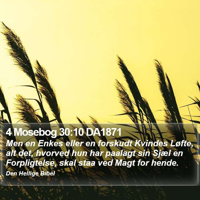 4 Mosebog 30:10 DA1871 Bible Study