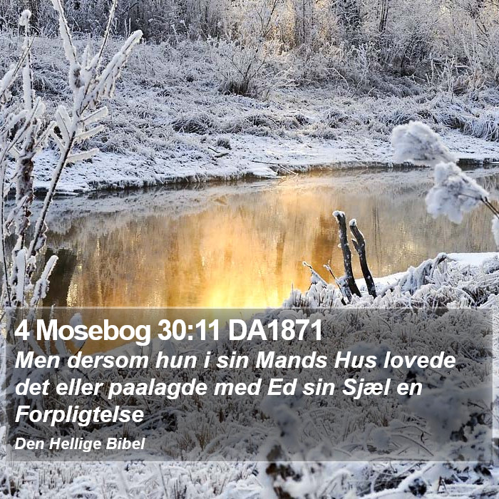 4 Mosebog 30:11 DA1871 Bible Study