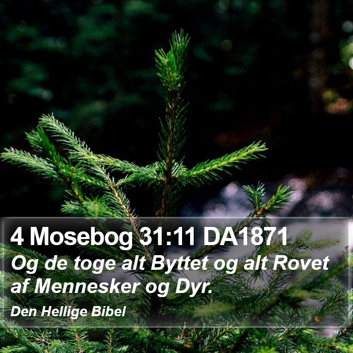 4 Mosebog 31:11 DA1871 Bible Study