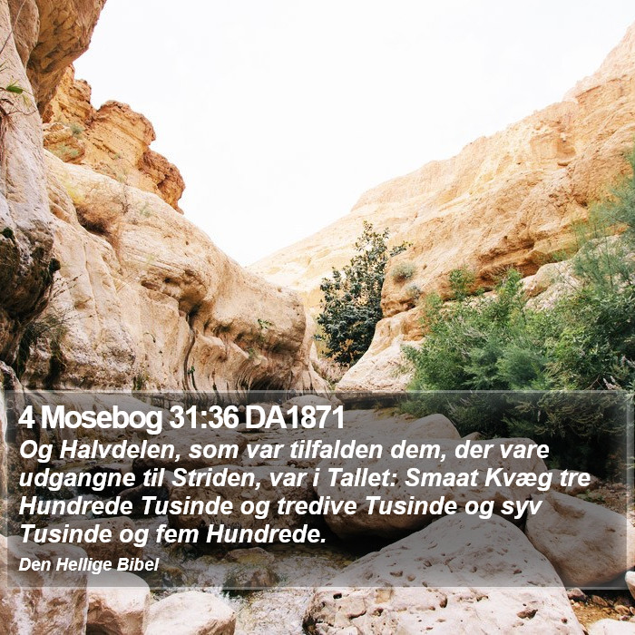4 Mosebog 31:36 DA1871 Bible Study