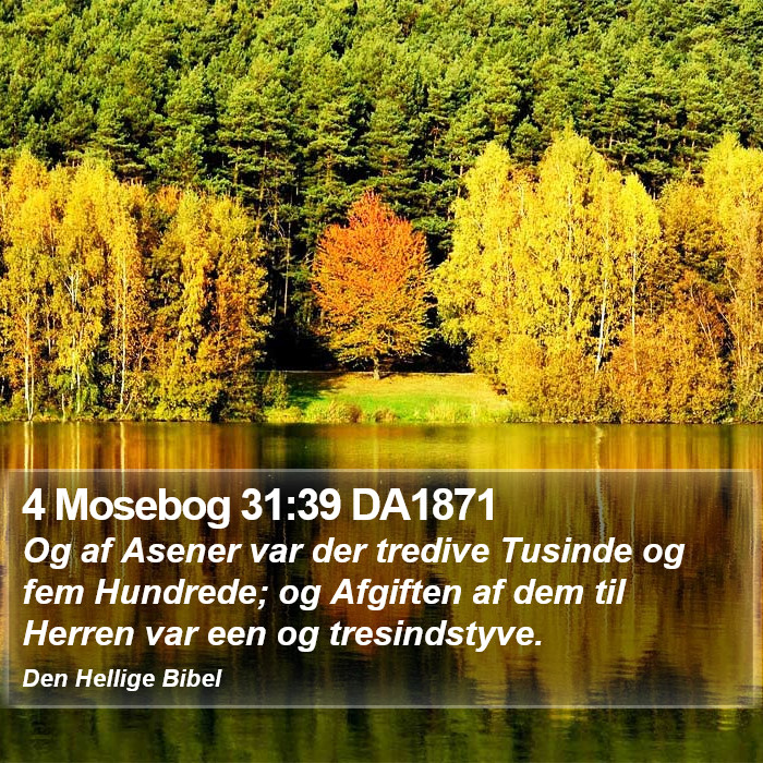 4 Mosebog 31:39 DA1871 Bible Study