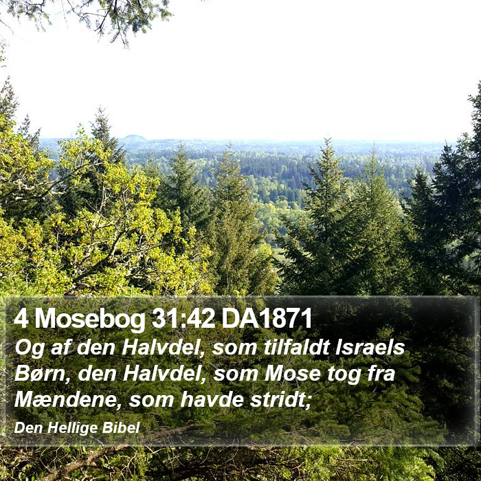 4 Mosebog 31:42 DA1871 Bible Study