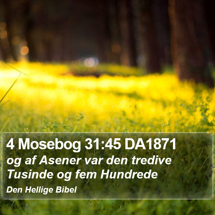 4 Mosebog 31:45 DA1871 Bible Study