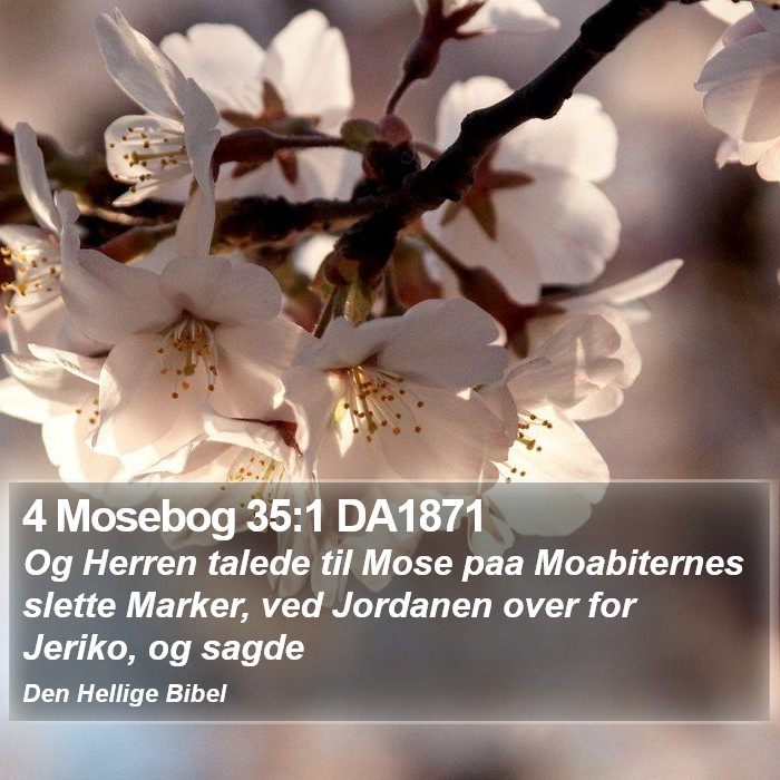 4 Mosebog 35:1 DA1871 Bible Study