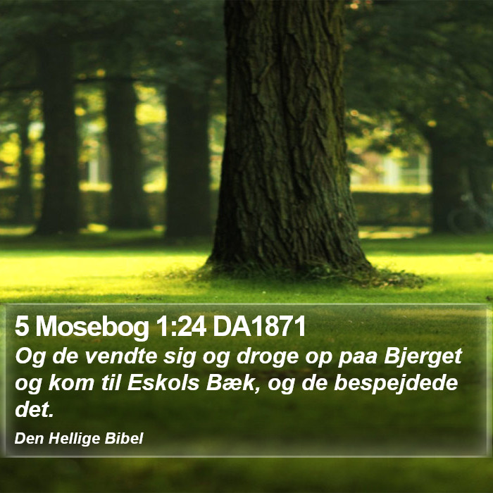 5 Mosebog 1:24 DA1871 Bible Study