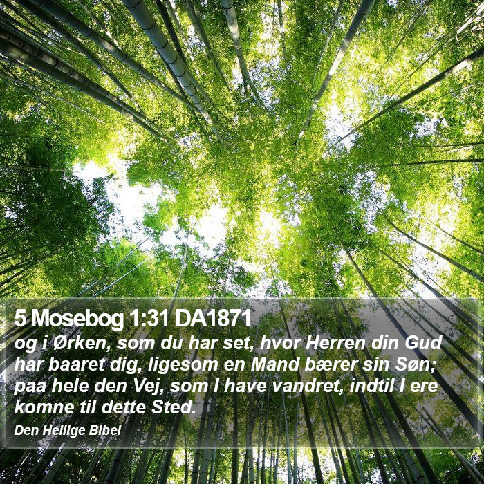 5 Mosebog 1:31 DA1871 Bible Study