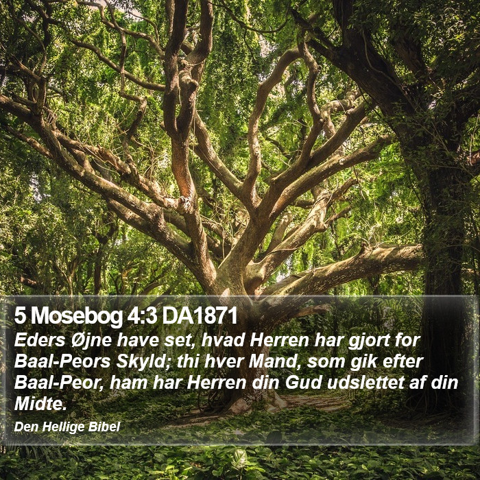 5 Mosebog 4:3 DA1871 Bible Study