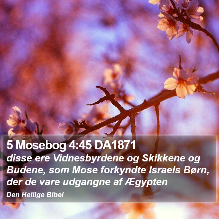 5 Mosebog 4:45 DA1871 Bible Study