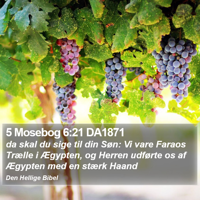 5 Mosebog 6:21 DA1871 Bible Study