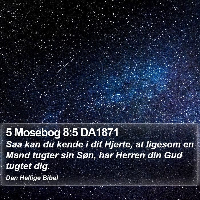 5 Mosebog 8:5 DA1871 Bible Study