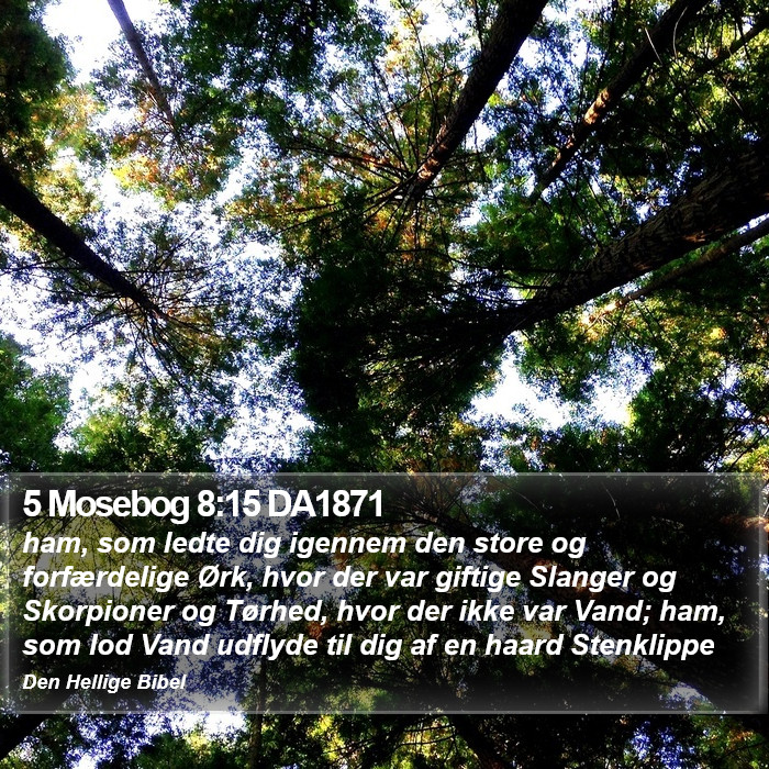 5 Mosebog 8:15 DA1871 Bible Study