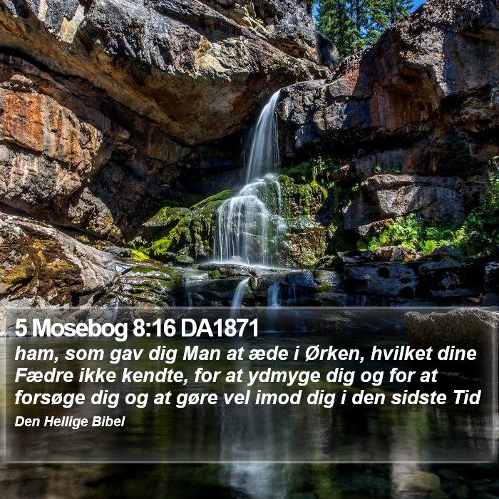 5 Mosebog 8:16 DA1871 Bible Study