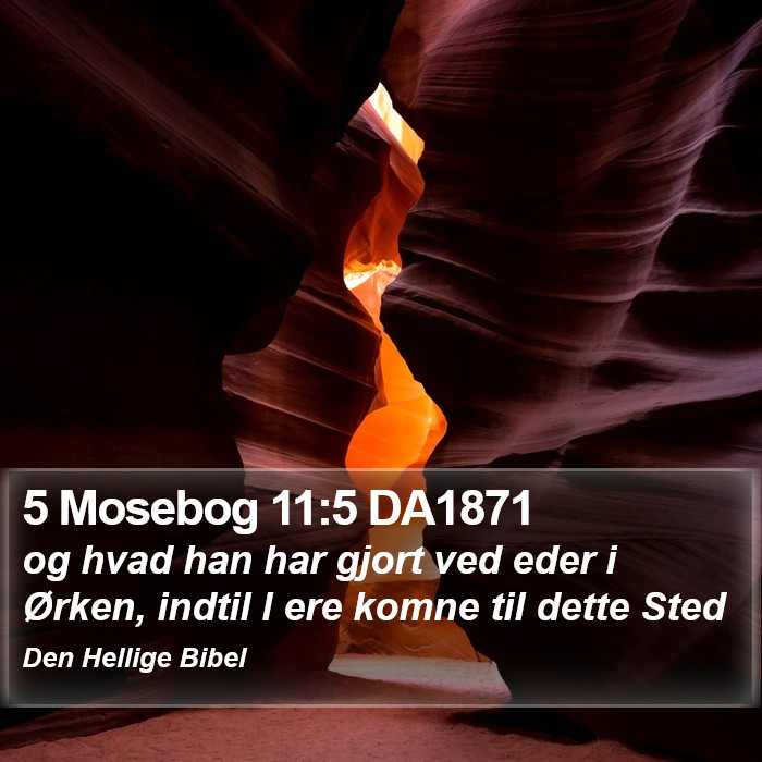 5 Mosebog 11:5 DA1871 Bible Study