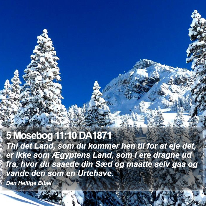 5 Mosebog 11:10 DA1871 Bible Study