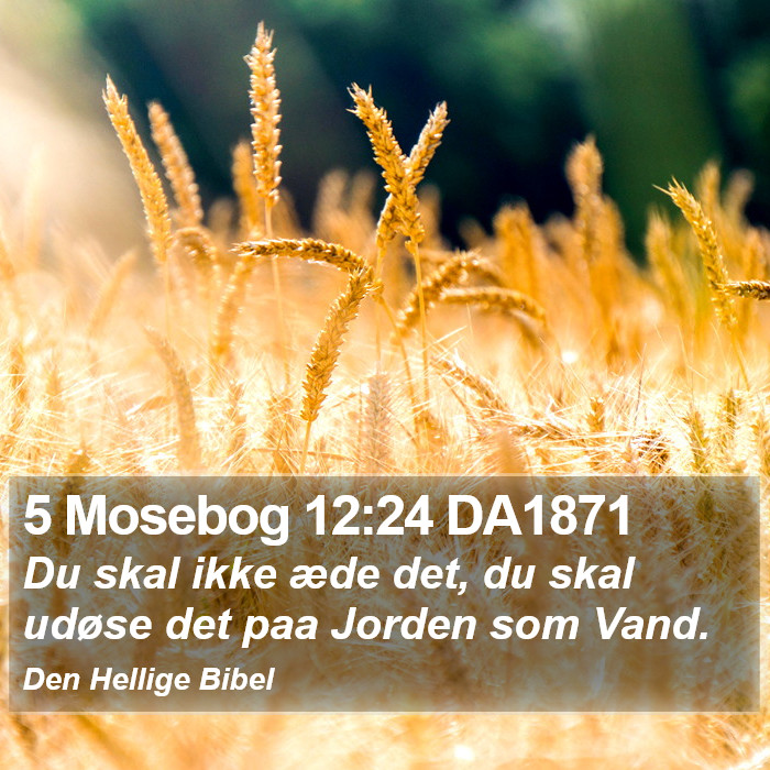 5 Mosebog 12:24 DA1871 Bible Study