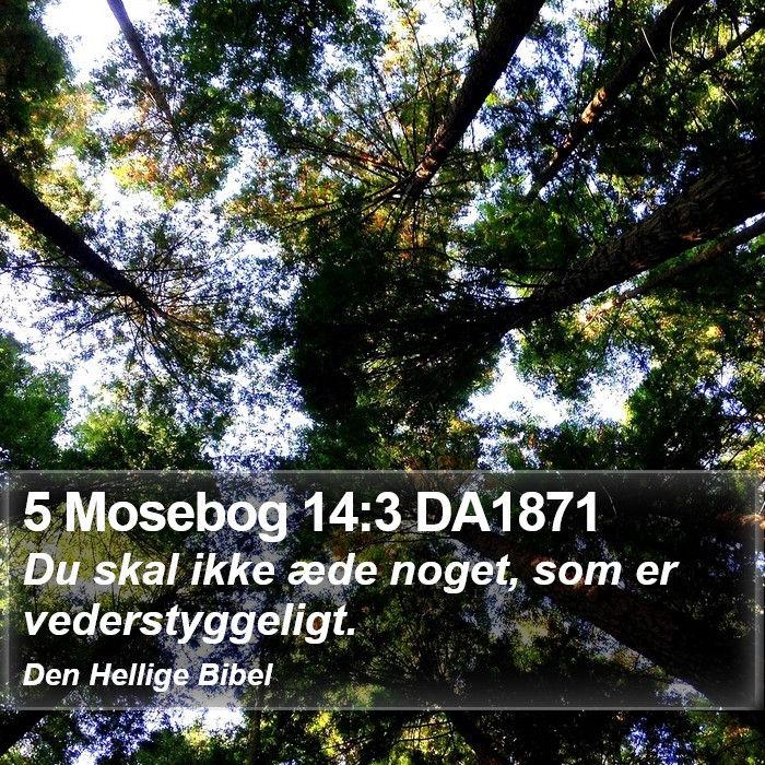 5 Mosebog 14:3 DA1871 Bible Study