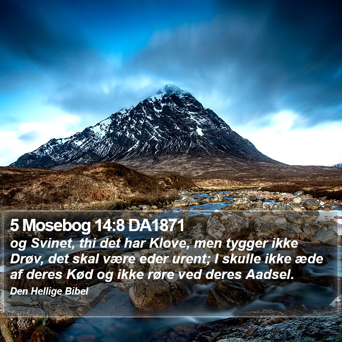 5 Mosebog 14:8 DA1871 Bible Study